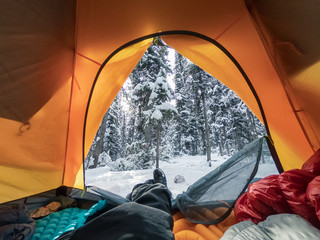 Wall Mural - traveler stretching the legs in tent on snowy pine forest at yoho national park