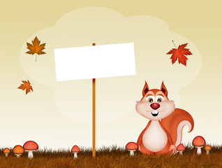 Poster - squirrels in autumn