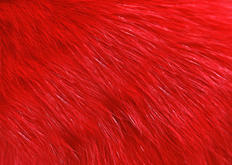 Wall Mural - Long-haired faux fur dyed red.Texture or background