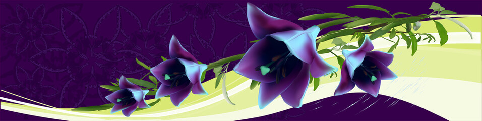 Canvas Print - dark bluebell flowers decoration on violet background