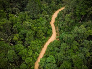 Wall Mural - Aerial view of forest and hills