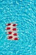 Synchronized Swim Team