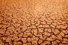 The Impact Of Global Warming On Sun-cracked Soil And The Loss Of All Fauna And Flora.