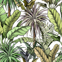 Seamless Pattern With Green Tropical Trees. Yucca Plants And Large Banana Leaves. Hand Drawn Vector Illustration.