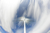 Fototapeta Fototapeta z dmuchawcami na ścianę - Elektrownia wiatrowa, niebo i rozmute chmury