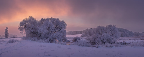 Fototapete - Winter nature landscape at colorful vivid sunrise. Winter morning at dawn. Snowy trees on icy riverside.