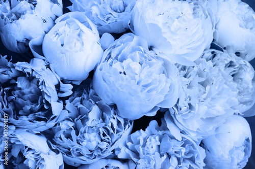 Pink floral background