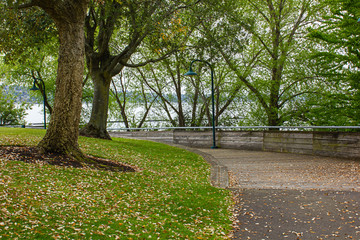 trees and foot path leading along the edge of a blue lake in fall