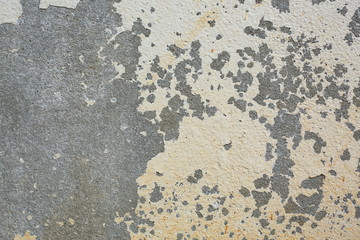 Wall Mural - white cement wall weathered grunge texture background