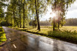 © Johnér - View of country road