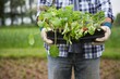 © MDBPIXS - Man Holding Plants In Field
