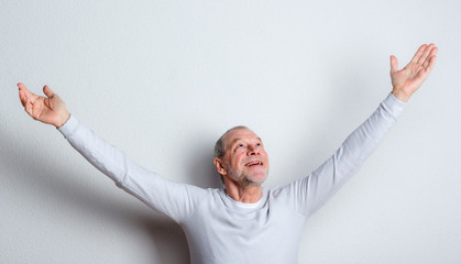 Wall Mural - Portrait of a cheerful senior man with beard and mustache in a studio.