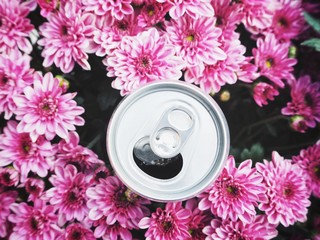 Wall Mural - Cola can and pink flower