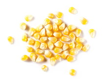 Raw Corn Kernels For Popcorn Isolated On White Background, Top View