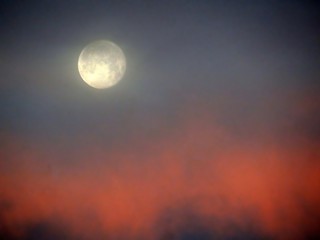 Canvas Print - full moon