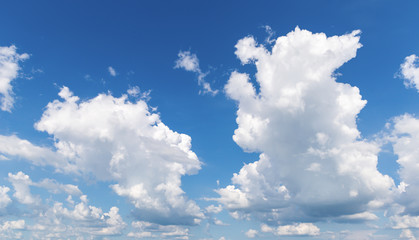 white clouds on the bright sky
