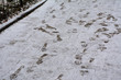 traces of the tread of the soles on freshly fallen snow. Concept - go, street, winter