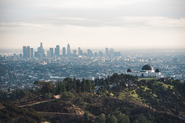 Wall Mural - Griffith Observatory Los Angeles California