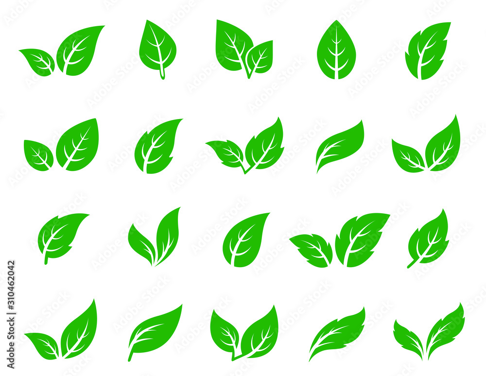 hand drawn veined green leaf icon eco set - obrazy, fototapety, plakaty 