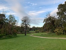 A Path Through A Park Area