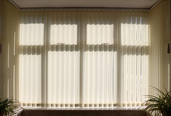 Closed vertical venetian window blinds