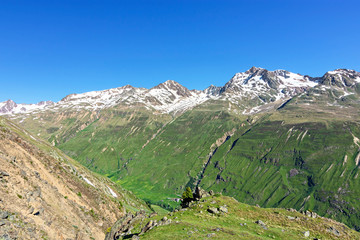 Wall Mural - Colorful alpine landscape in summer. Mountains, snow and green pastures. Ötztal Alps, Tirol, Austria