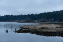 Lynch Cove Wetlands And Still Waters In Western Washington