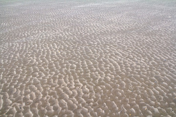 Wall Mural - sand closeup