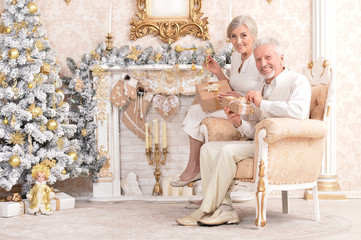 Poster - Portrait of a cute senior couple celebrating Christmas