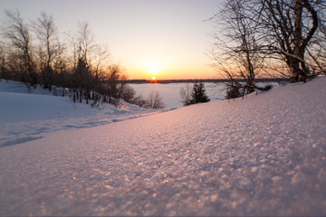 The concept of the winter solstice. Sparkling snow in the snowy forest and low sun over the horizon. Fabulous winter beauty.