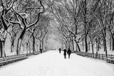 Fototapeta Miasta - Fairy winter park in a fabulous city..Central Park - New York City during a snowstorm