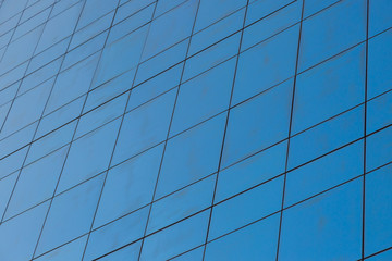 Wall Mural - Blue glass windows of modern office building