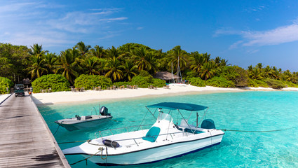 Wall Mural - Private jetty on pristine tropical beach