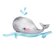 Watercolor cute cartoon whale; hand draw illustration; with white isolated background