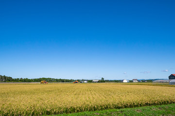 北海道 夕張郡 由仁町 田園風景