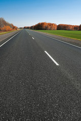 Wall Mural - country road through green fields.