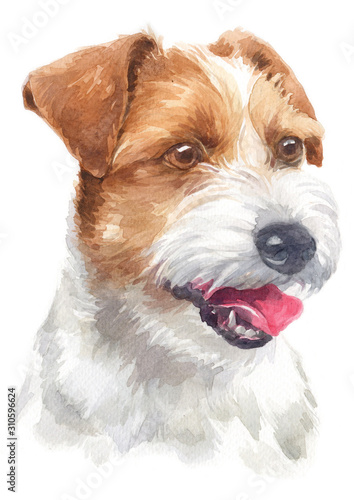 Fotomural Water colour painting of Parson Jake Russell Terrier 130