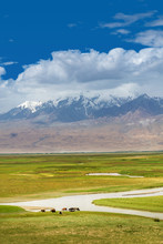 Fresh Green Meadows Of Prairie And Snow-capped Mountain Ranges