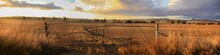 Panoramic Views Of Dry, Drought Stricken Farm Land Through Old Steel Locked Farm Gates On A Hot Afternoon In Gunnedah, New South Wales, Rural Australia
