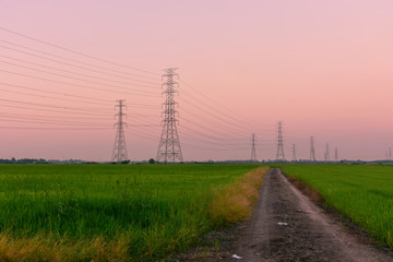 High voltage electric tower line in cornfield at sunset.