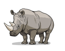 African Savannah Animal Rhinoceros Isolated In Cartoon Style. Educational Zoology Illustration, Coloring Book Picture.