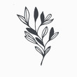 © grpxstore - Tiny Leaves Plants Hand drawn vector illustration for logo, invitations, graphic design
