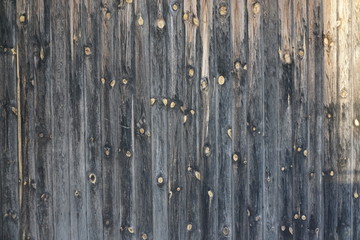 wood background