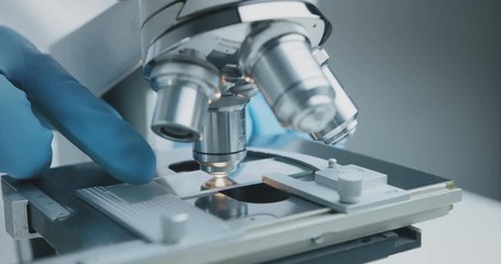 Wall Mural - close up shot of the scientist studies examining of test sample under the microscope in laboratory.