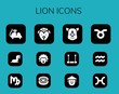 Modern Simple Set of lion Vector filled Icons
