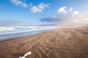 Wall Mural - Extreme wide-angle scenic at Pensacola Beach in Florida. Seagulls, breakers, blue skies, emerald waters