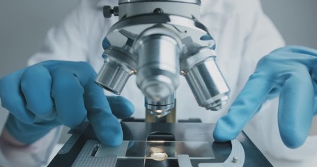 Wall Mural - close up shot of the scientist studies examining of test sample under the microscope in laboratory.