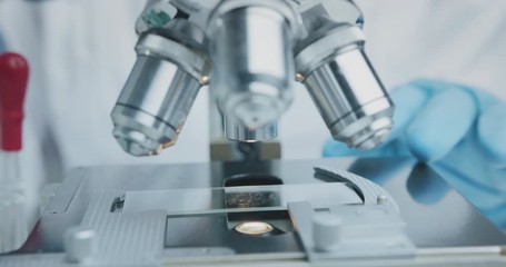 Wall Mural - close up shot of the scientist studies examining of test sample under the microscope in laboratory.