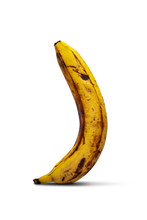 One Overripe Spoiled Banana. Yellow Banana Isolated On A White Background.
