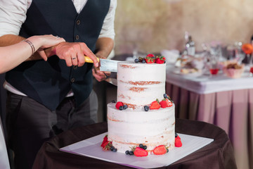 Wall Mural - Bride and groom cut the cake